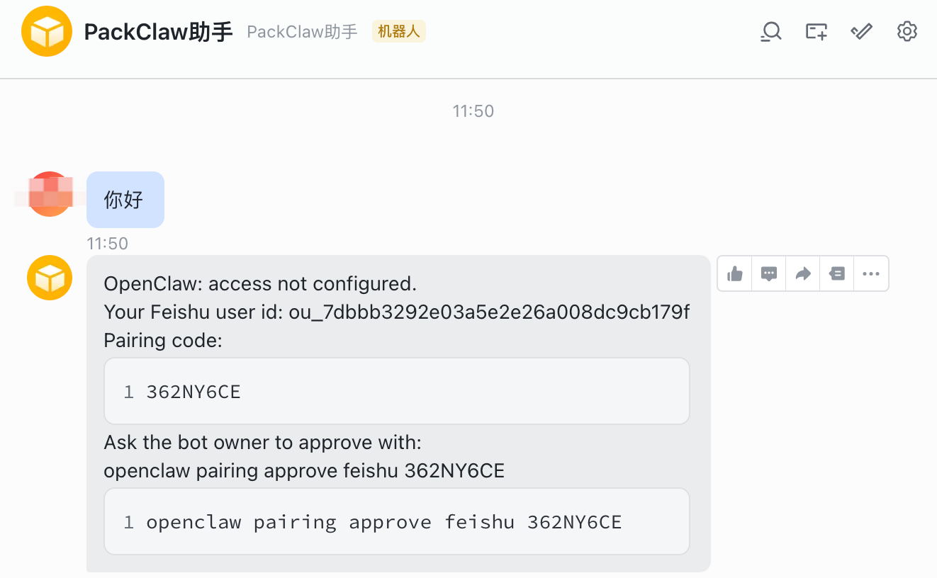 飞书配对请求